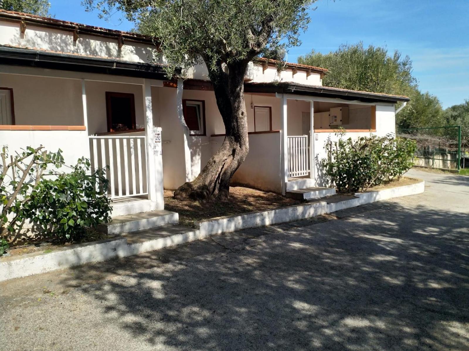 Villaggio Residence Villamarina Marina di Camerota Εξωτερικό φωτογραφία